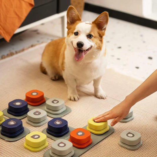 Canine Communicator Voice Training Kit