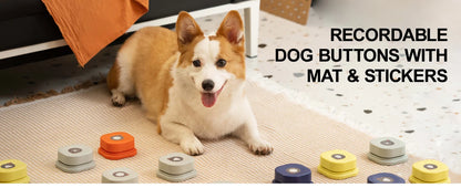 Canine Communicator Voice Training Kit