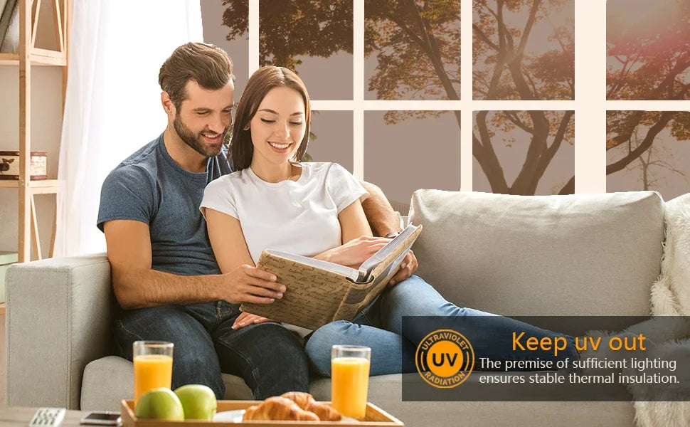Privacy Shield Reflective Window Film