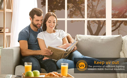 Privacy Shield Reflective Window Film